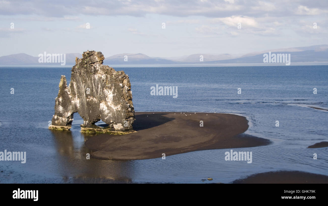 Hvitserkur, an animal shaped rock formation in the north of Iceland. Stock Photo