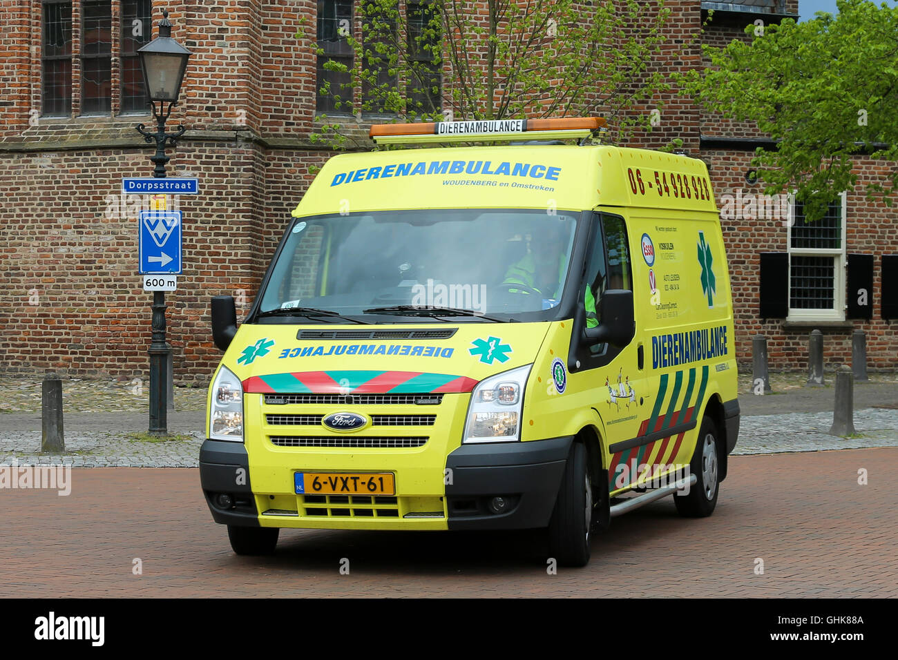 emergency vet ambulance