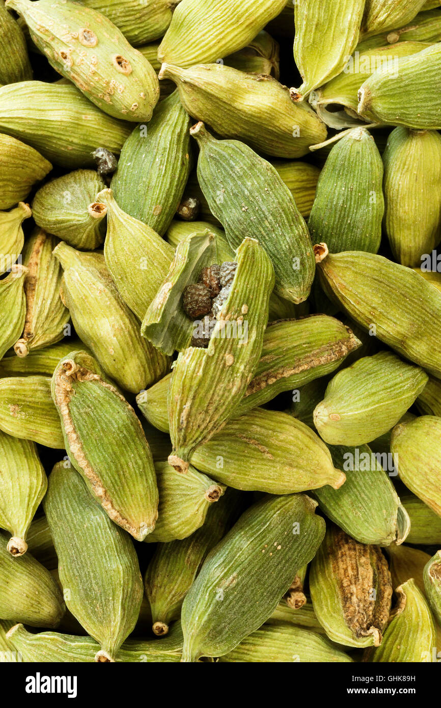 Cardamom Pods Stock Photos & Cardamom Pods Stock Images Alamy