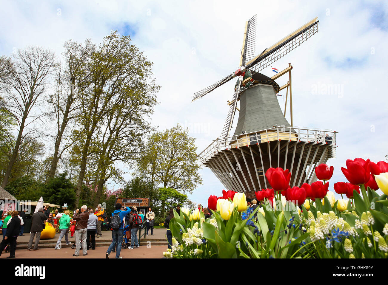 Tourists enjoy the flowers and windmill at the dutch spring flower garden Keukenhof in Lisse, Holland. Stock Photo