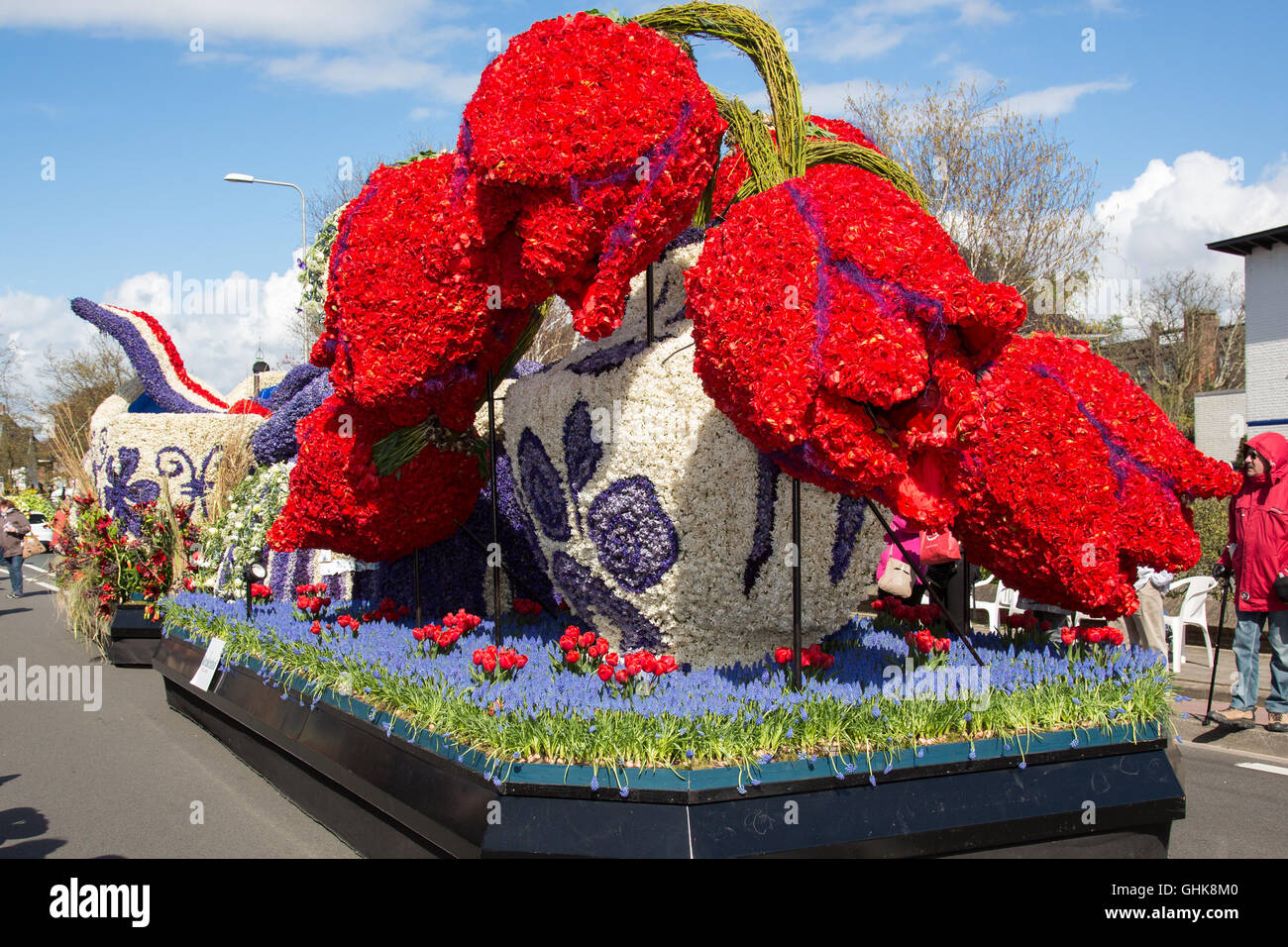 Platform in the form of an old vase with red tulips follows the route of the traditional flower parade in the Stock Photo