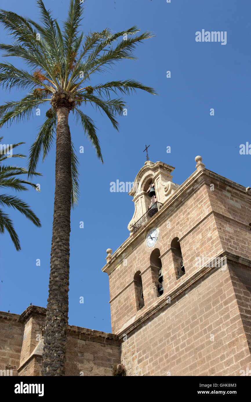 Bell tower of cathedral almeria hi-res stock photography and images - Alamy