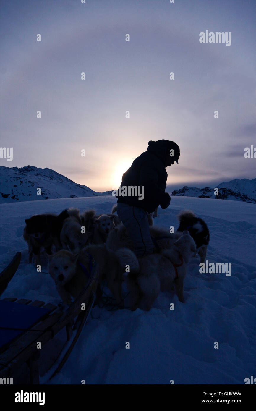 Eskimo with sled and dogs. Greenland Stock Photo Alamy