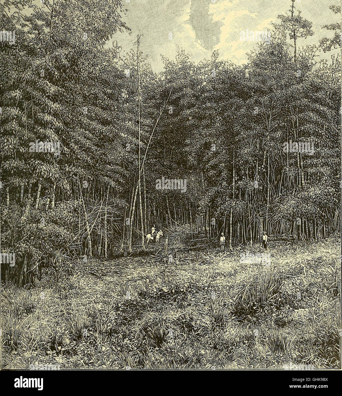 Nouvelle géographie universelle - la terre et les hommes (1876) Stock Photo