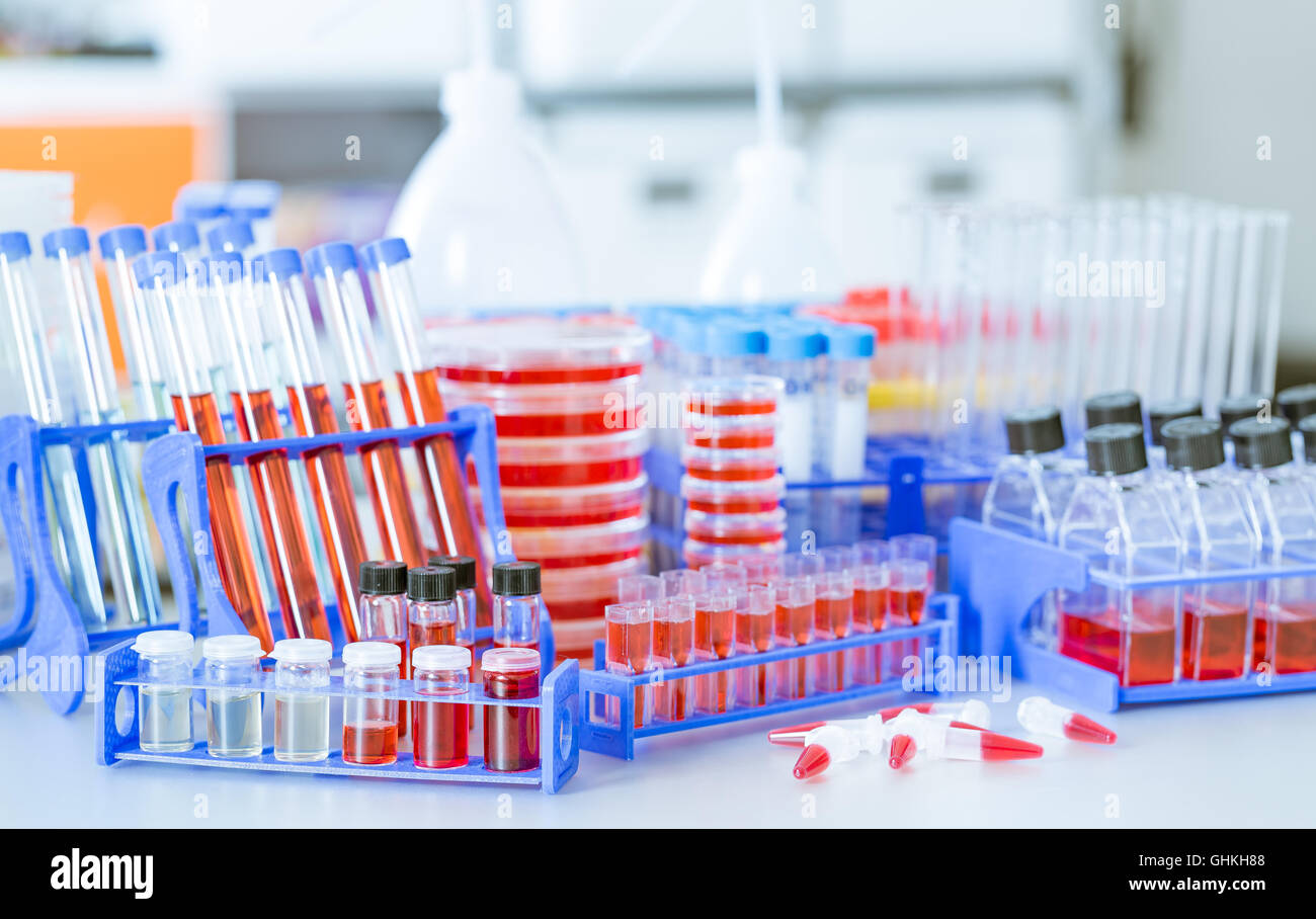 Test tubes and petri dishes in laboratory Stock Photo - Alamy