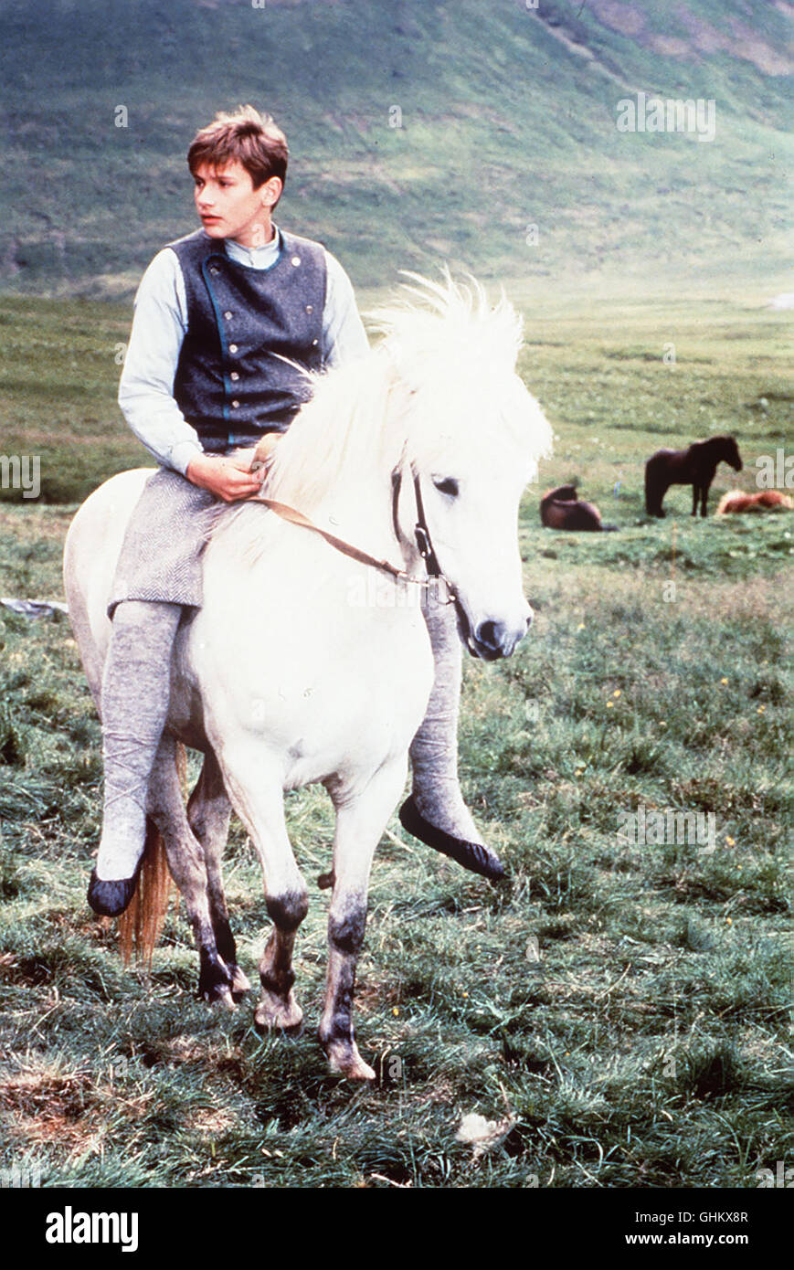 Nonni (GADAR THOR CORTES) auf seinem Pferd Granni aka. Nach den Erzählungen von Jon Svensson: Die Jungen von der Feuerinsel 3 Stock Photo