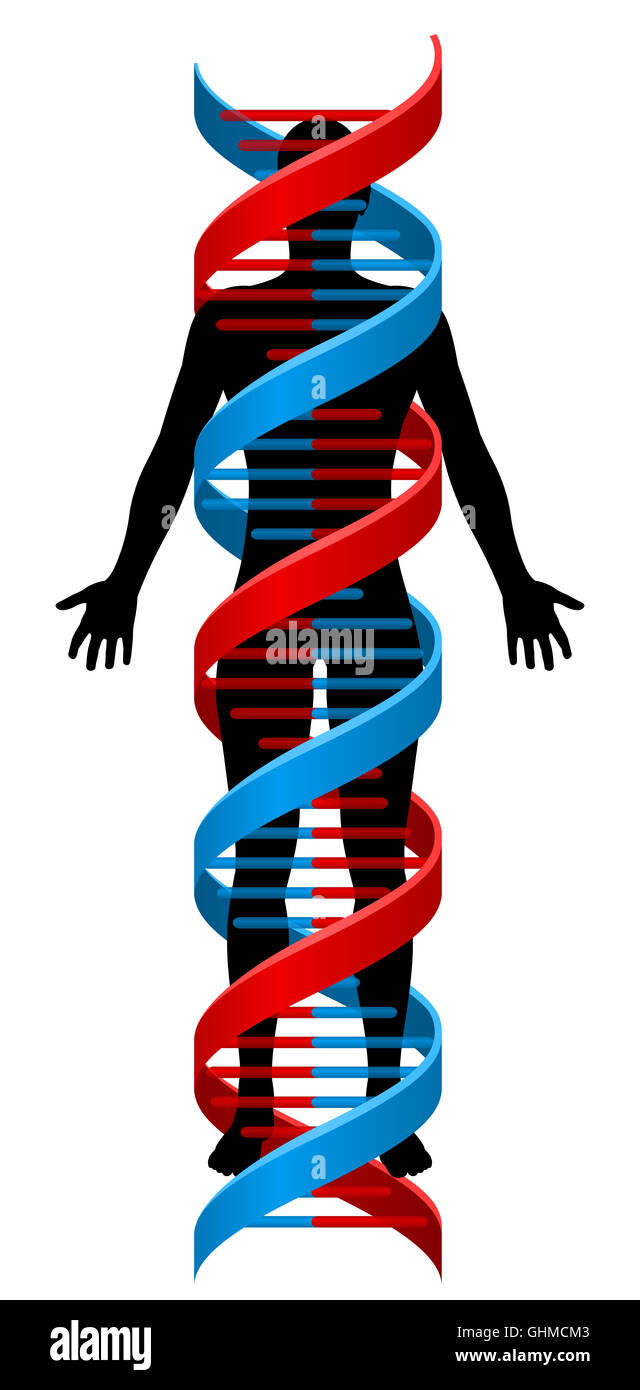 A human person figure in silhouette with a double Helix DNA genetics chromosome strand surrounding it Stock Photo