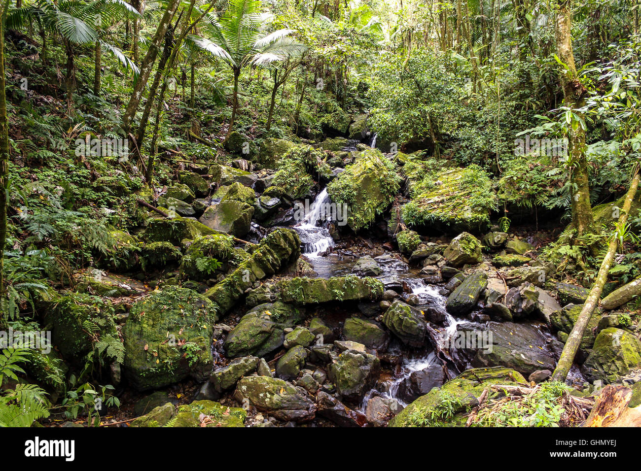 Water stream moving through rocks Stock Photo - Alamy