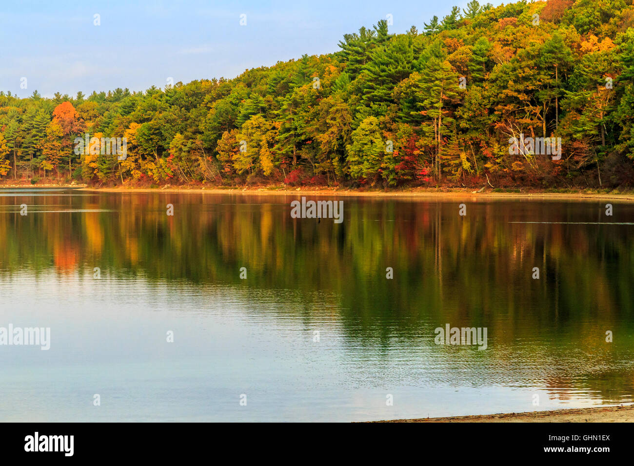 Fall Pond Reflections Walden Pond sunrise during fall with autumn color tress and pond ...