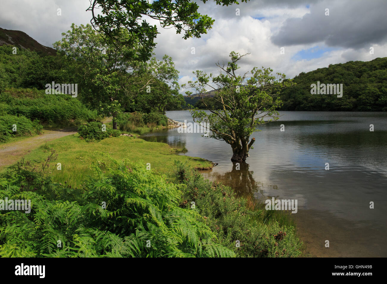 Llyn Cynwch Reservoir near Dolgellau Stock Photo