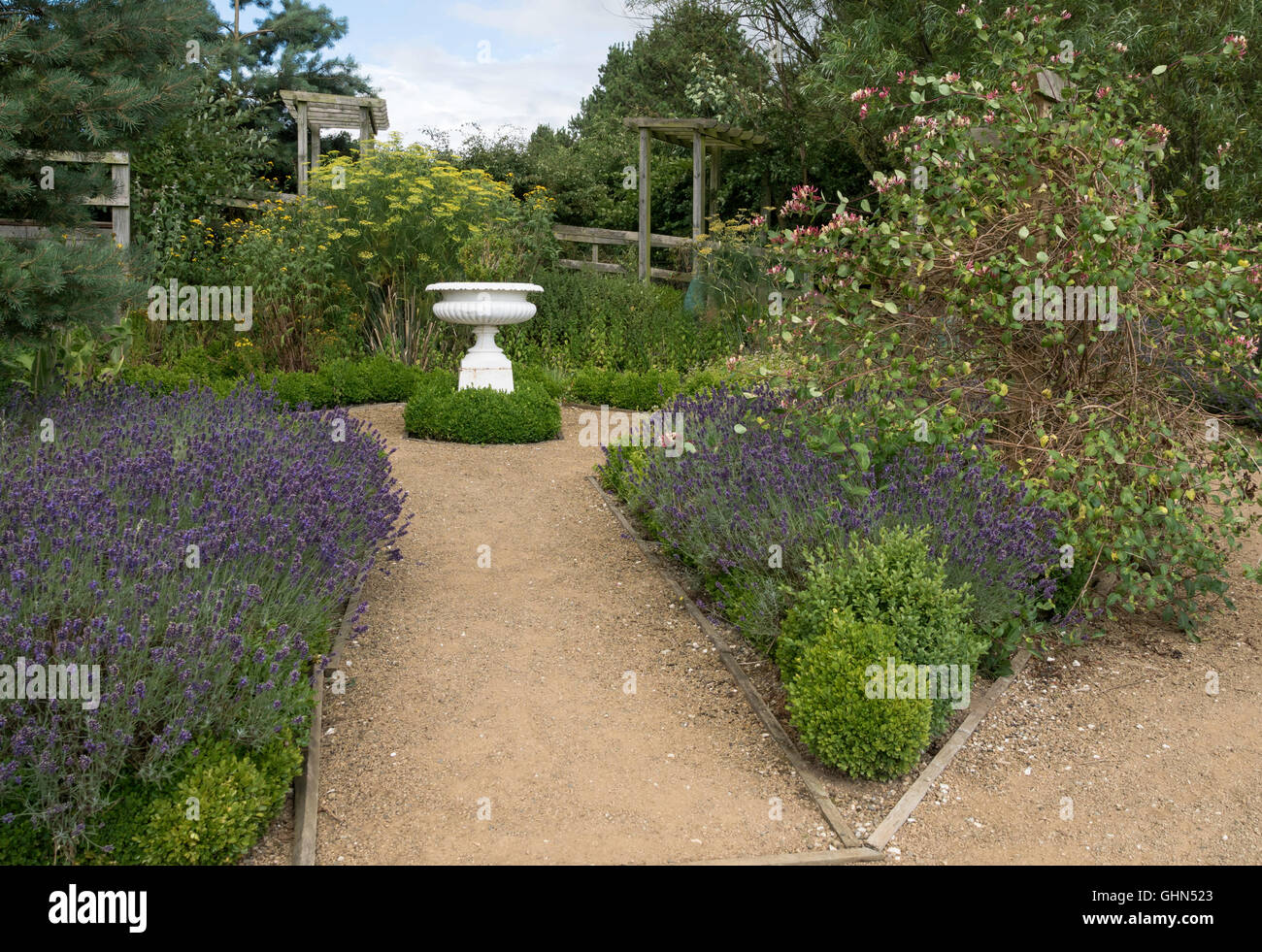 Wolds Way Lavender showing a corner of the extensive gardens situated at Winteringham, North Yorkshire. Stock Photo