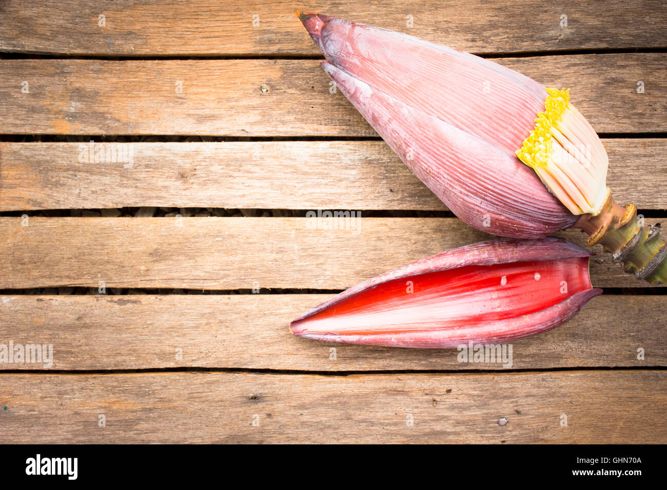 Banana blossom hires stock photography and images Alamy