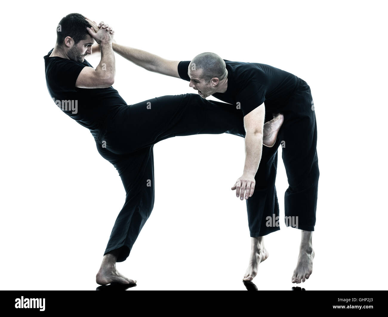 two caucasian men krav maga fighters fighting isolated silhouette on ...