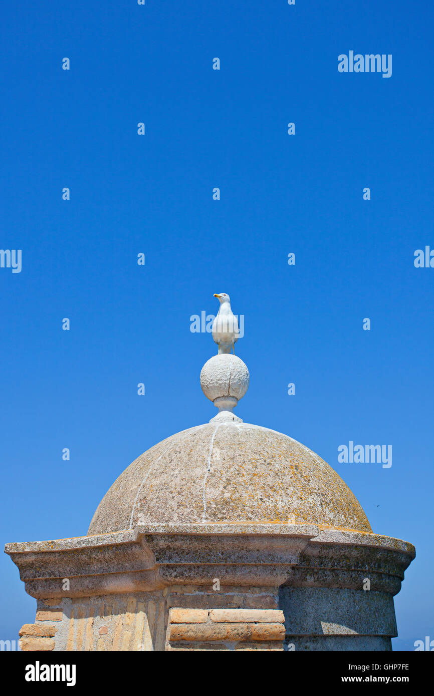 Musee de la Mar, Île Sainte Marguerite, France Stock Photo Alamy