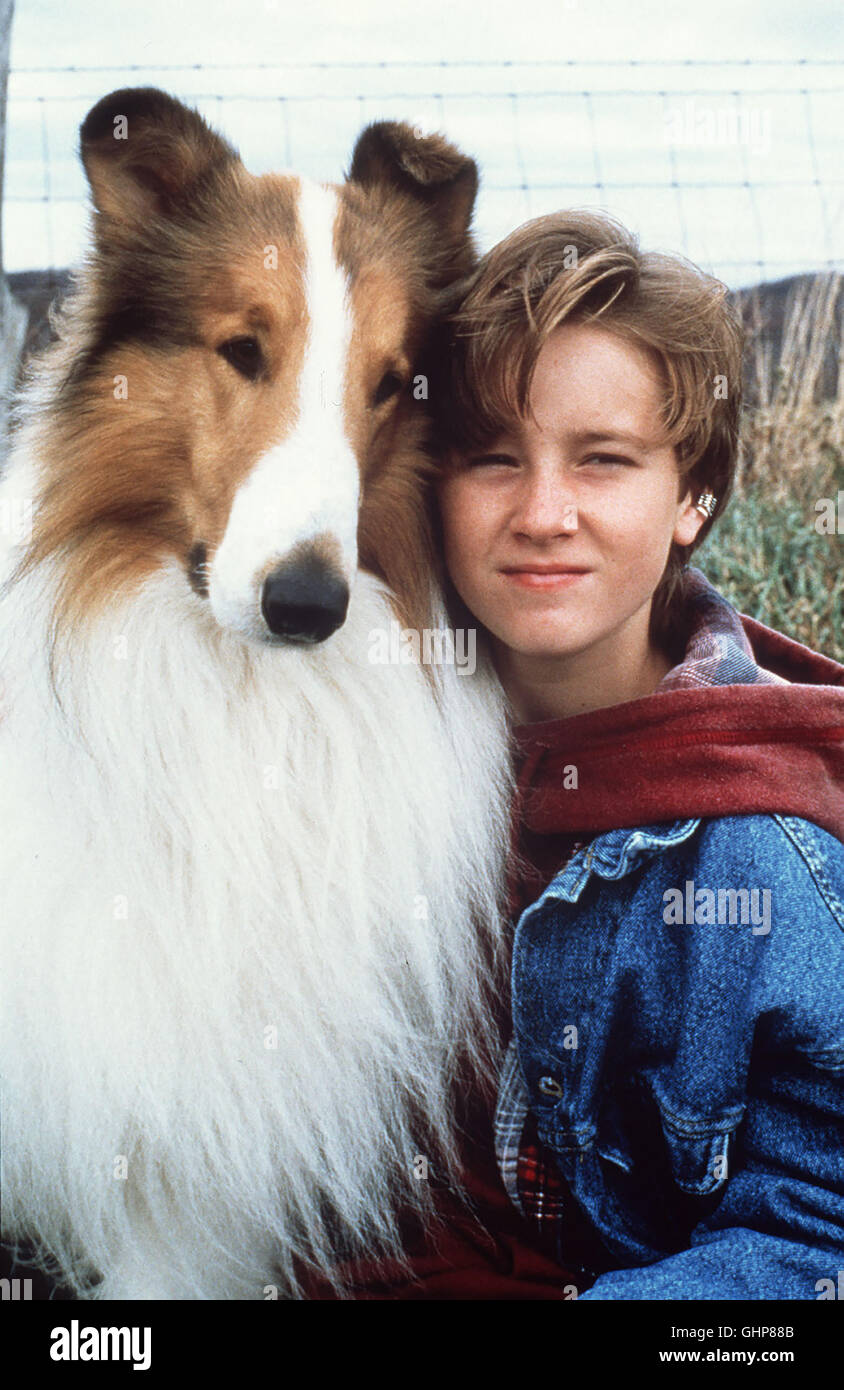 Lassie film movie hi-res stock photography and images - Page 2 - Alamy