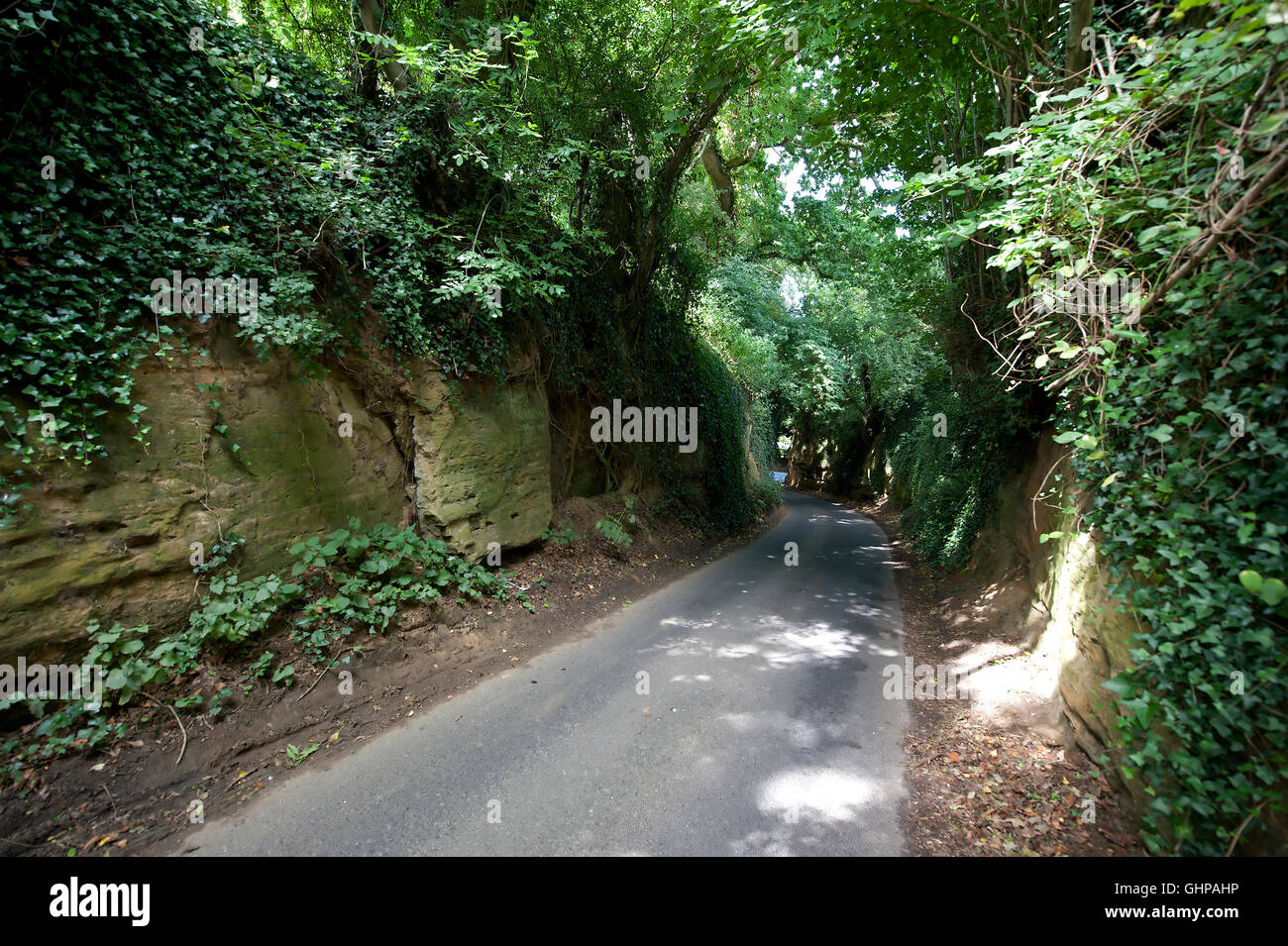 Narrow country road, East Coker, Yeovil, Somerset, England, United