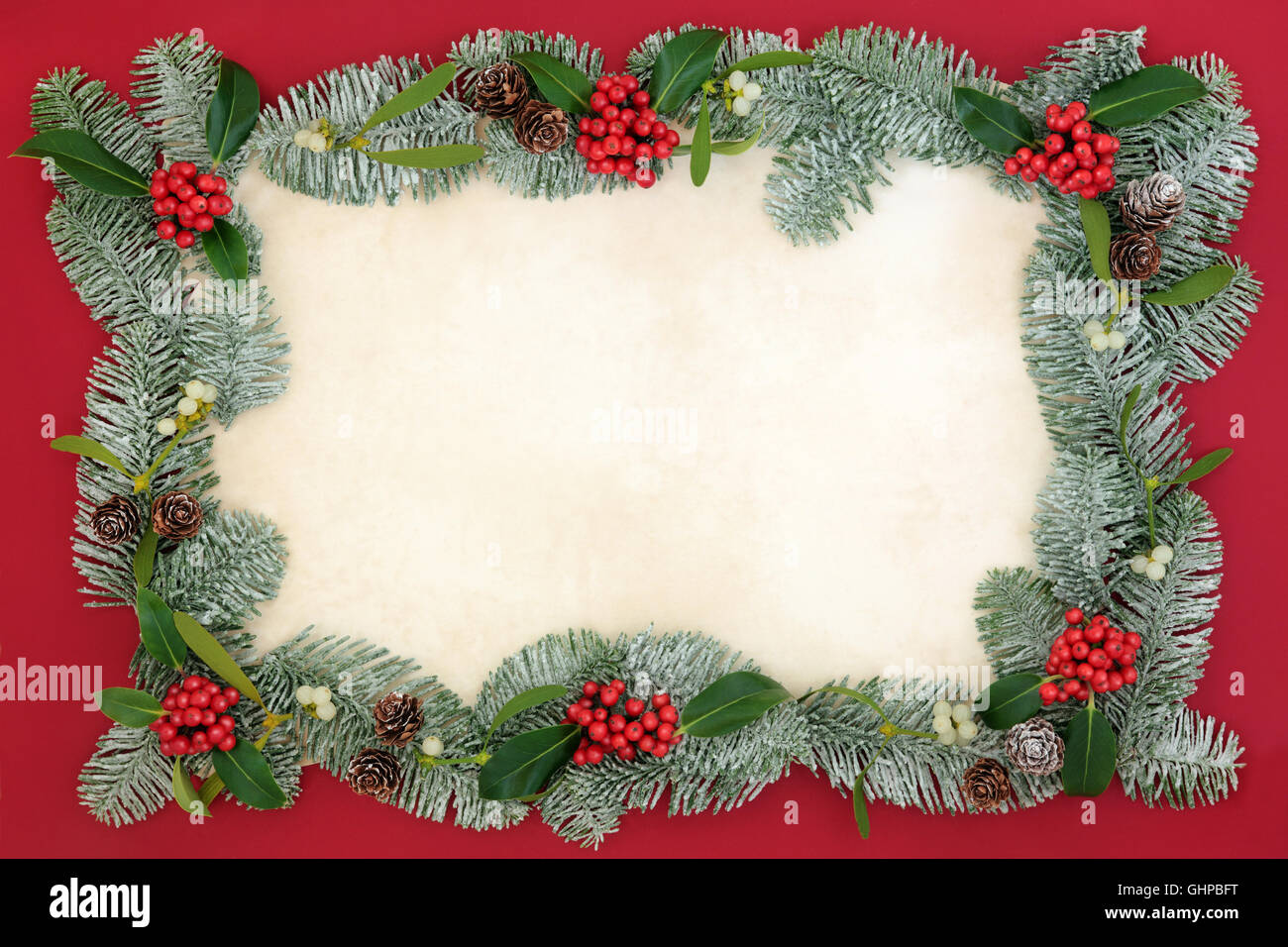 Old fashioned christmas background border with holly, mistletoe, ivy,  juniper fir and pine cones on parchment paper over old oak wood. Stock  Photo