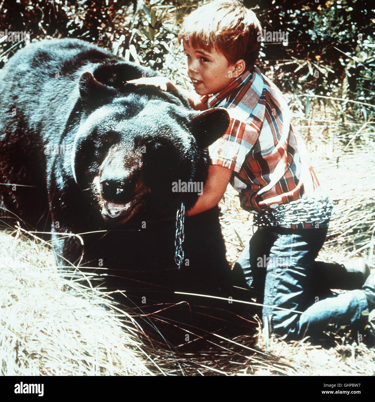 Gentle Ben Africa From Usa