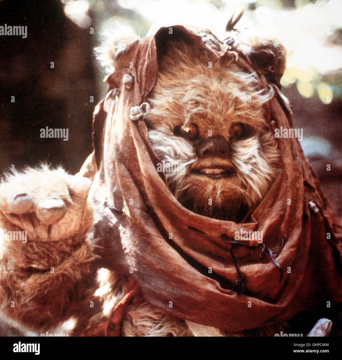 Ewoks – Die Karawane Der Tapferen Ewoks – Die Karawane Der Tapferen