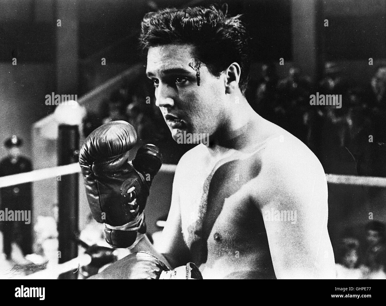 Kid Galahad Walter Gulick - 'Kid Galahad' (ELVIS PRESLEY) - kommt nach seiner Entlassung aus der US-Army nach Cream Valley, wo Willy Grogan einer-Camp betreibt. Dort stellt sich heraus, daß der junge Mann ein boxerisches Naturtalent mit harten Nehmerqualitäten ist. Nach entsprechender Ausbildung macht er im Ring Karriere und gewinnt die hübsche Schwester des Managers zur Braut. Der junge ELVIS PRESLEY macht hier auch alser eine gute Figur und singt u.a. 'King of whole wide world', 'This is living', 'Riding rainbow', 'Home is where heart is' und 'I got lucky'. Regie: Phil Karlson aka. Kid Stock Photo