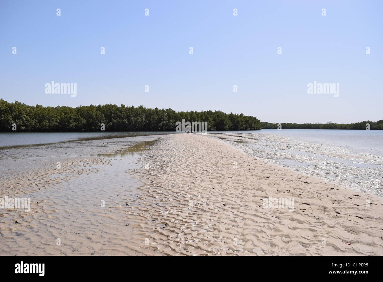 Sand Bank in The Gambia River Stock Photo
