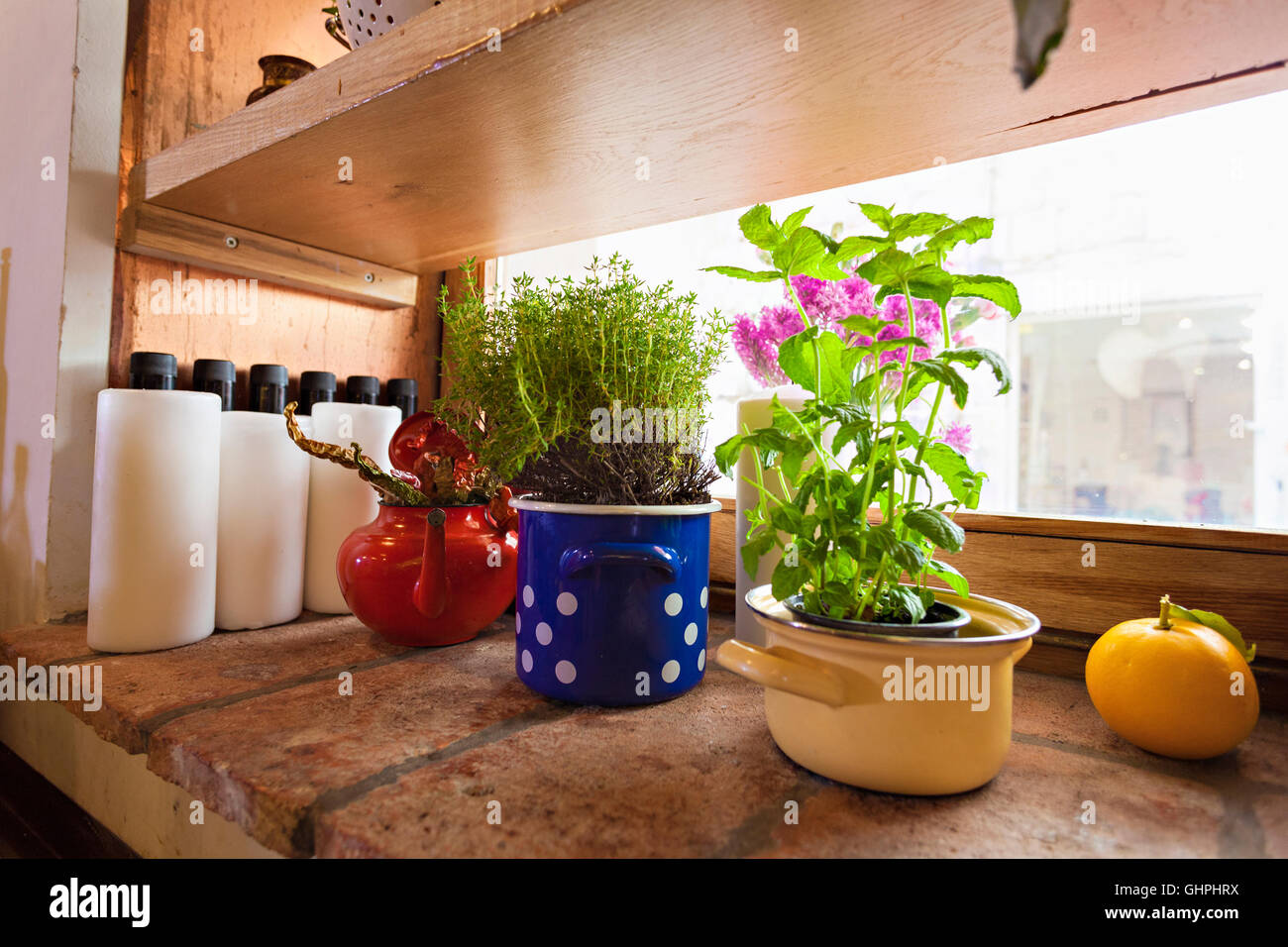 Kitchen herbs in pots placed on window sill Stock Photo