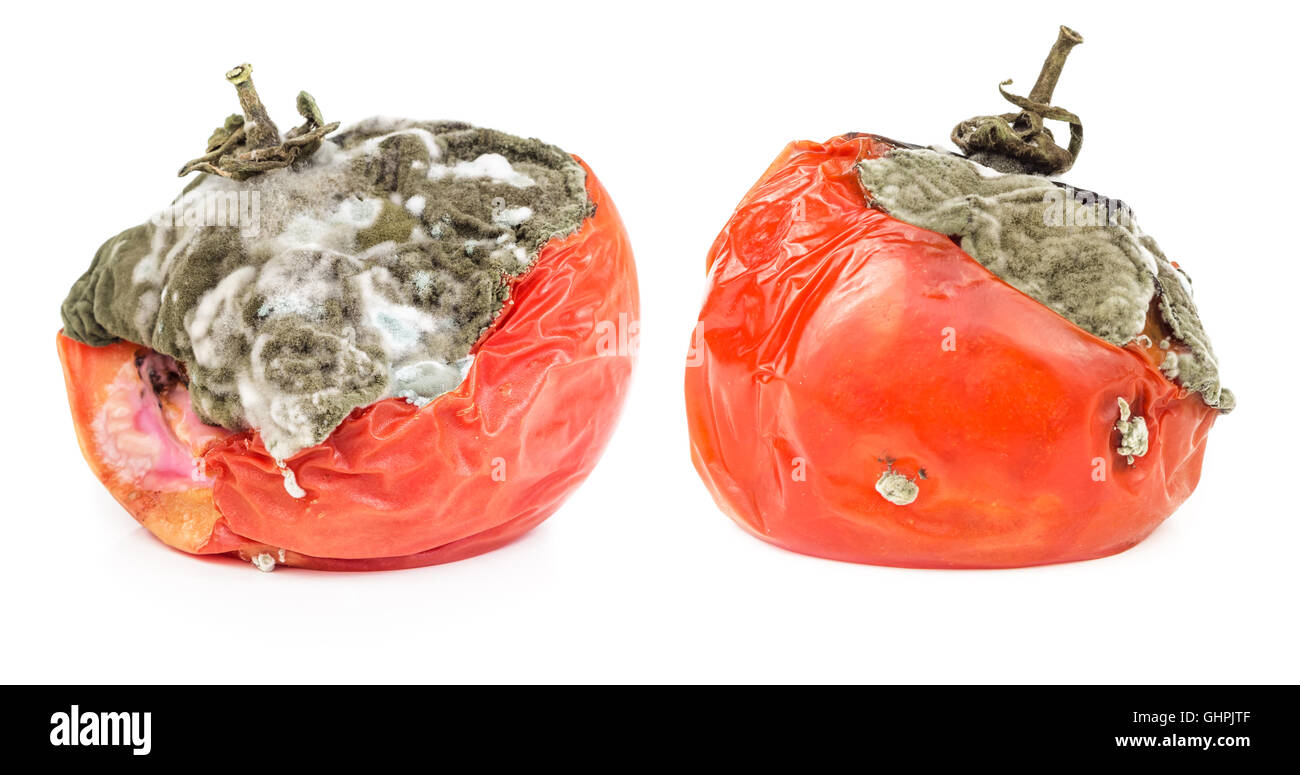 Rotten tomatoes isolated hi-res stock photography and images - Alamy