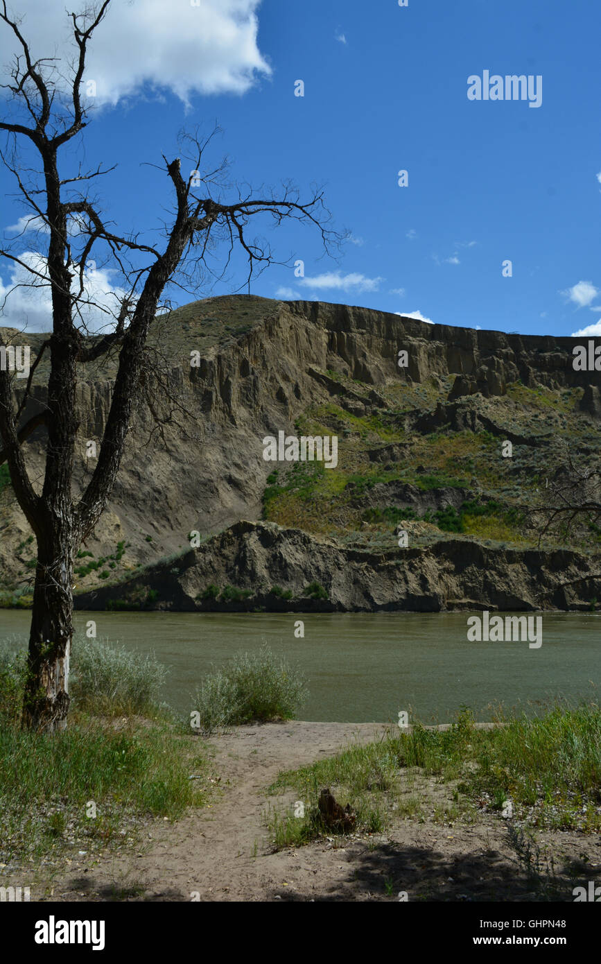 The River Valley in Summer. South Saskatchewan River valley in Medicine ...