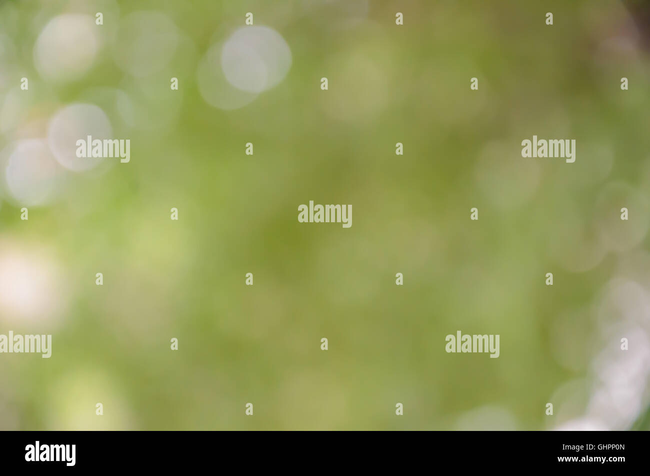Bokeh background soft green color and blur Stock Photo - Alamy