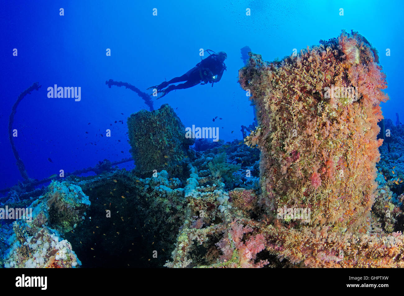 Shipwreck Numidia, scuba diver on ship wreck, Brother Islands, Brothers, Big Brother, Red Sea, Egypt, Africa, Africa Stock Photo