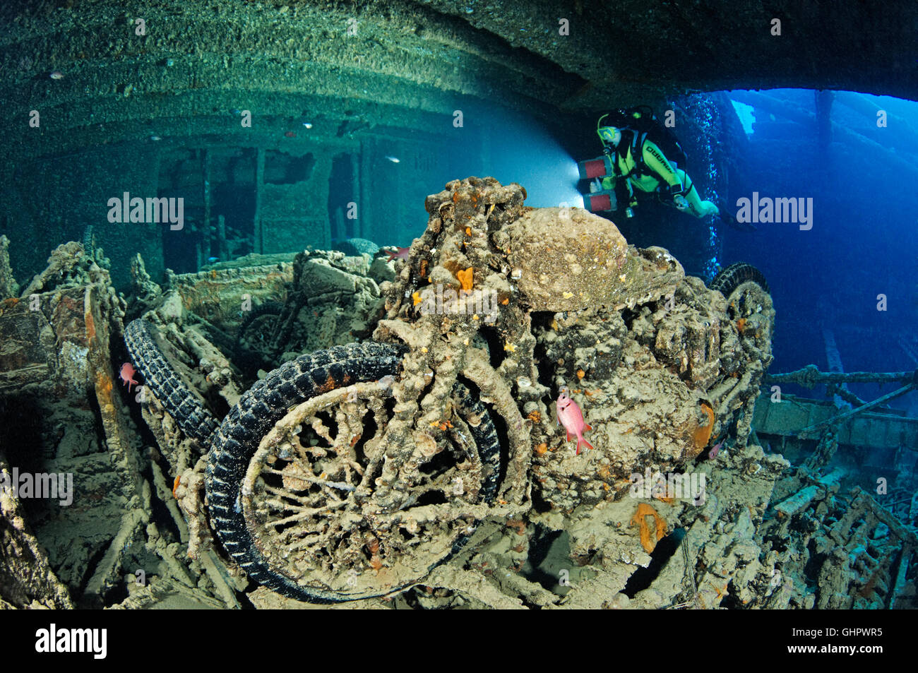 Shipwreck SS Thistlegorm, scuba diver inside Ship wreck by the motorcycle,  Wreck Thistlegorm, Red Sea, Egypt, Africa Stock Photo - Alamy