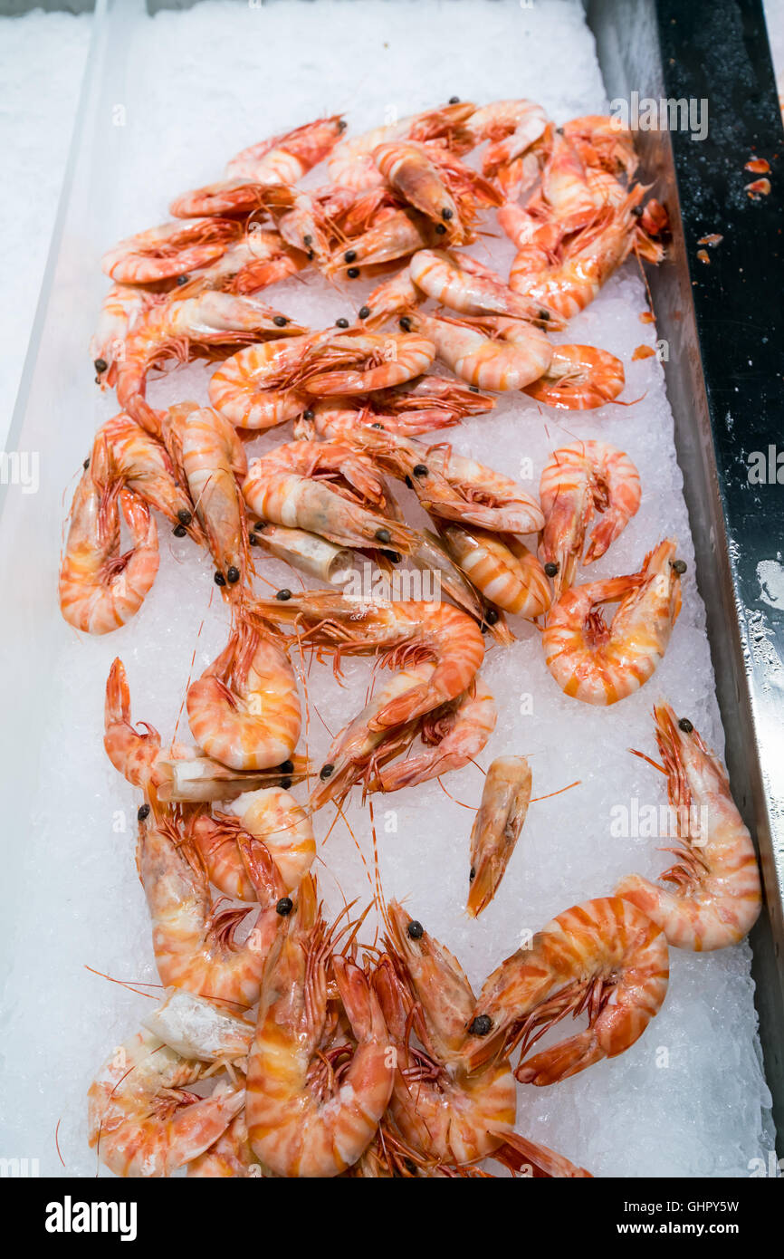 Shrimp farms hi-res stock photography and images - Alamy