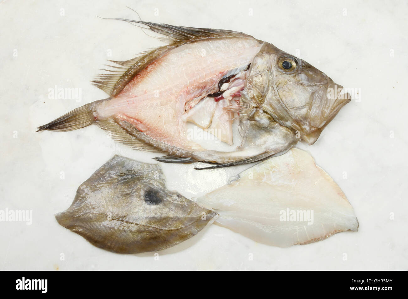 Filleted John Dory fish on a marble slab Stock Photo