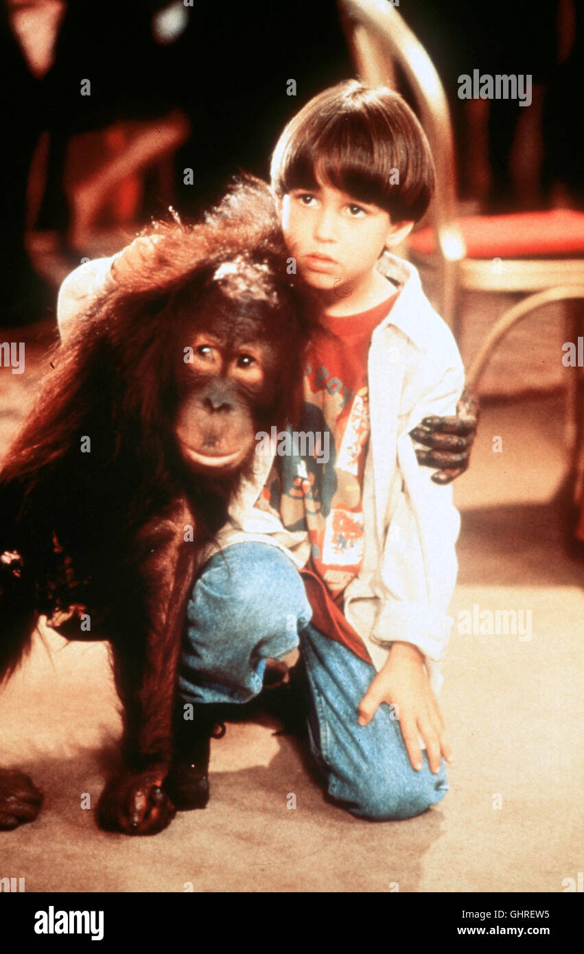 DUNSTON ALLEIN IM HOTEL Das MAJESTIC in New York ist ein Fünf