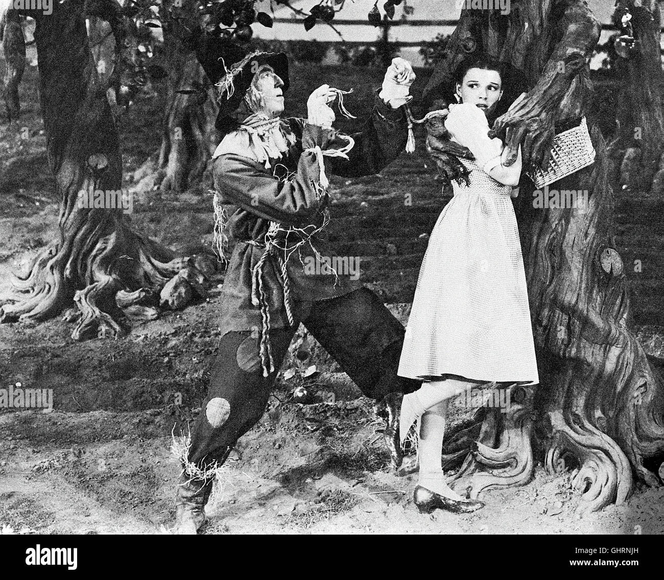 DAS ZAUBERHAFTE LAND -Der Zauberer von Oz The Wizard of Oz USA 1939 JACK HALEY, JUDY GARLAND Regie: VICTOR FLEMING aka. Wizard of OZ Stock Photo