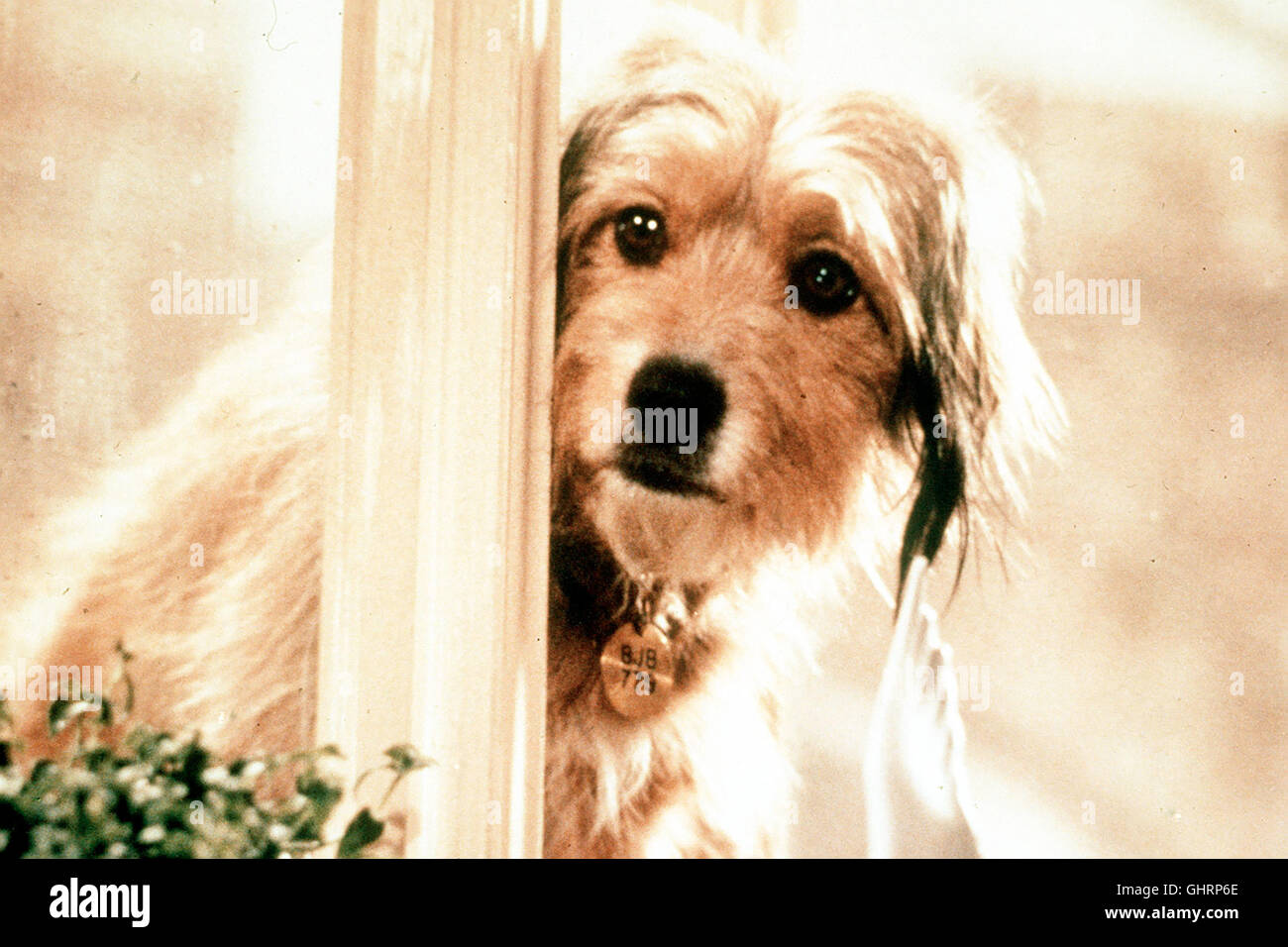 1974 stock photography and - Alamy