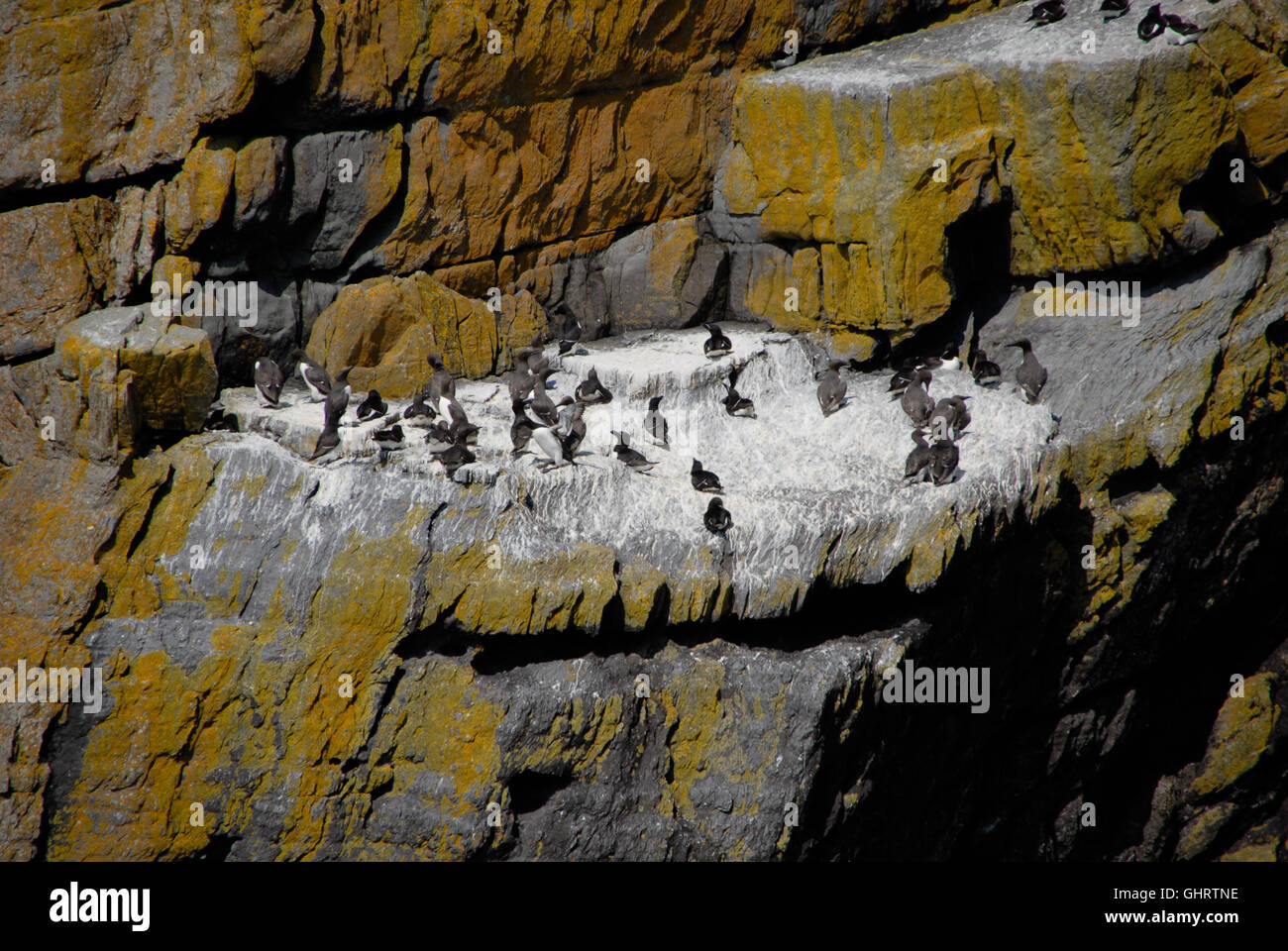 Skellig Michael, Ireland World Heritage Site