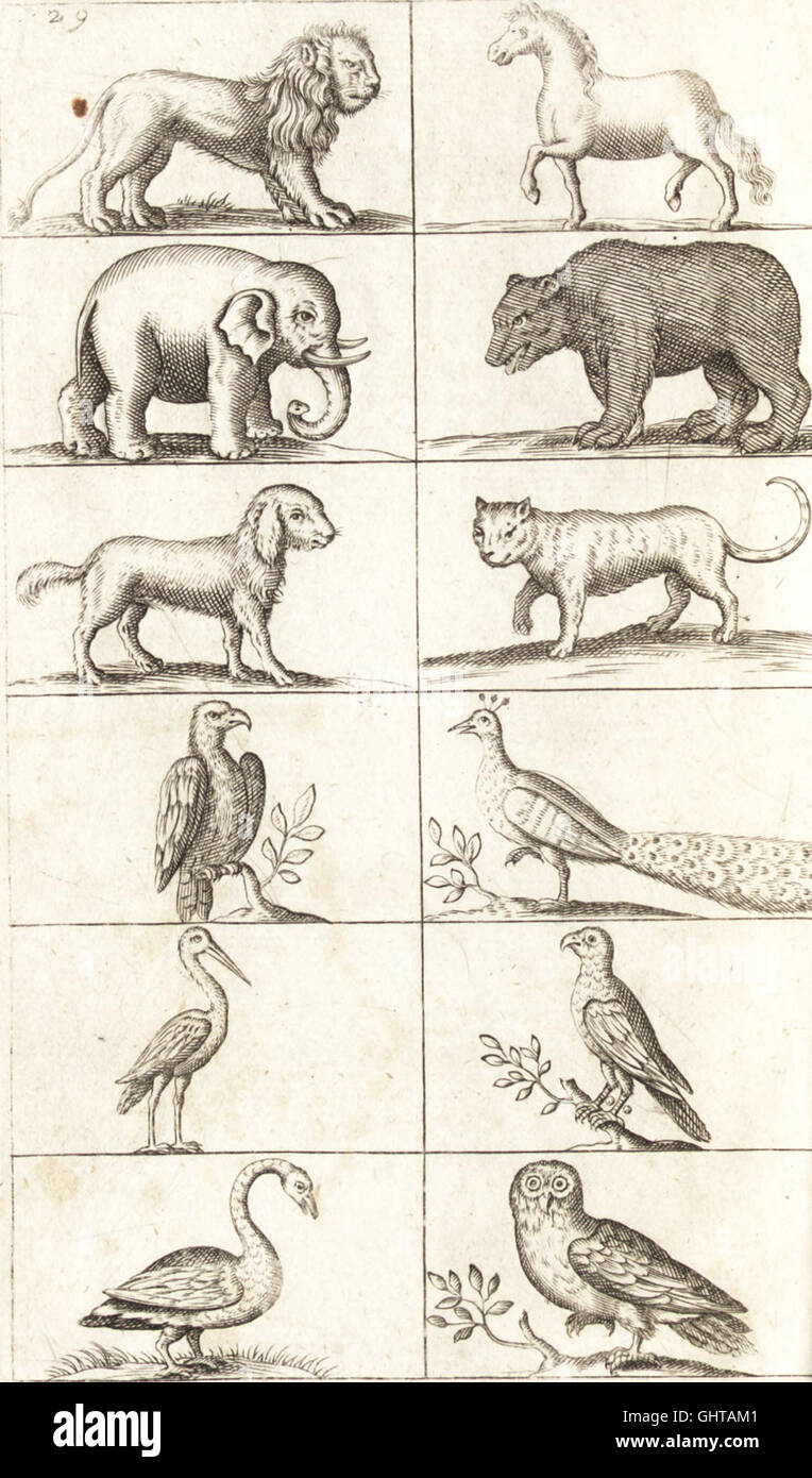 This work provides an extensive guide to various artistic techniques ...