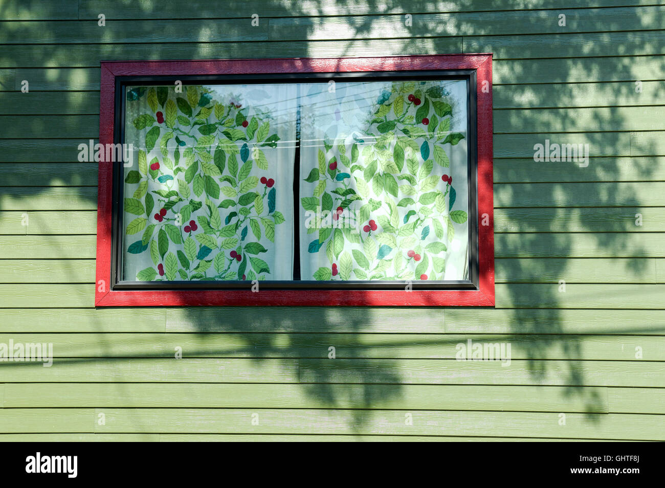 Shadows of foliage over a red-framed window with fabric showing a decorative pattern of flowers, berries and leaves Stock Photo