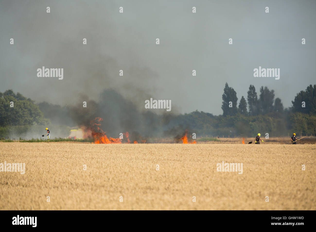 Fighting a fire in a wheat field located in the Emsworth gap near
