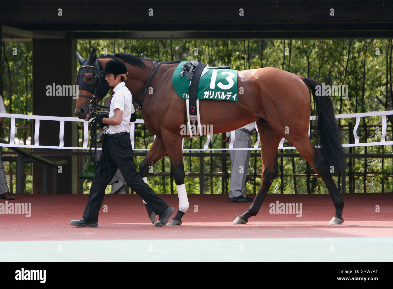 Aichi, Japan. 24th July, 2016. Garibaldi Horse Racing : Garibaldi is ...