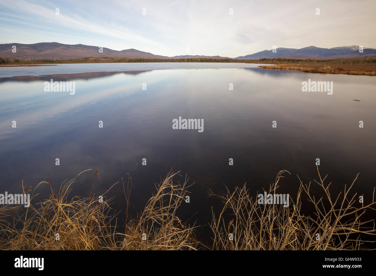 Scenic view from Cherry Pond at Pondicherry Wildlife Refuge in