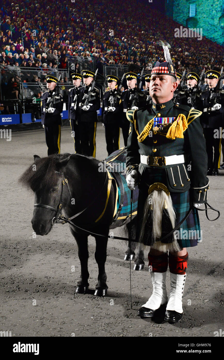 Edinburgh Military Tattoo, Pony Major Corporal Mark Wilkinson with Cruachan IV Stock Photo
