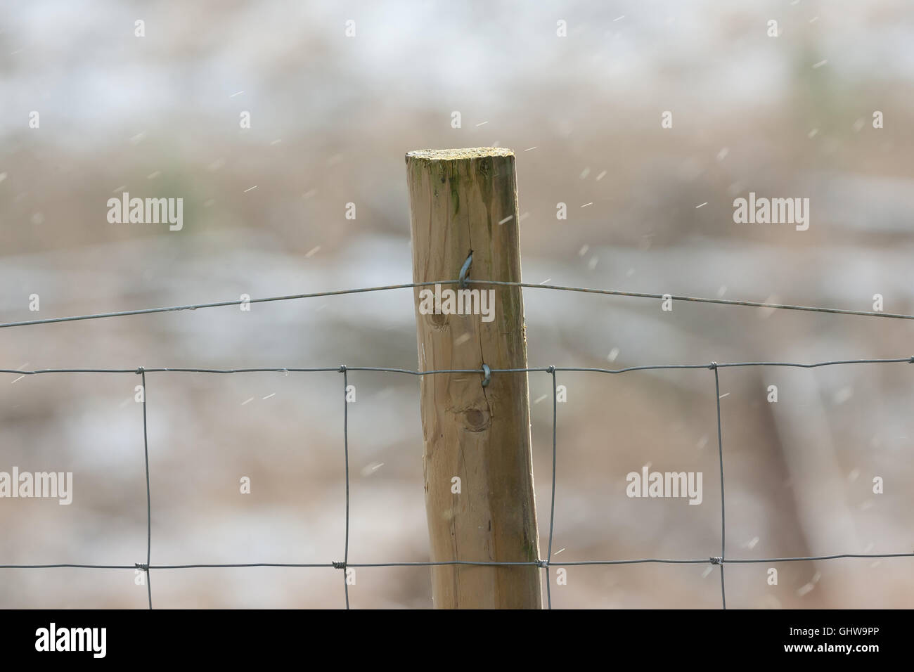 rural wooden fence post on a cold day with light snow falling Stock Photo