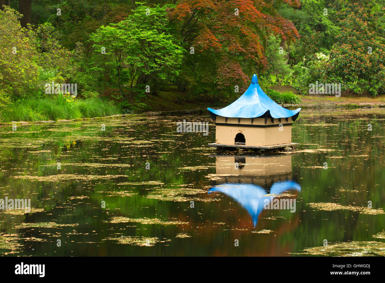 Oriental Garden pond, Wickham Park, Manchester, Connecticut Stock Photo
