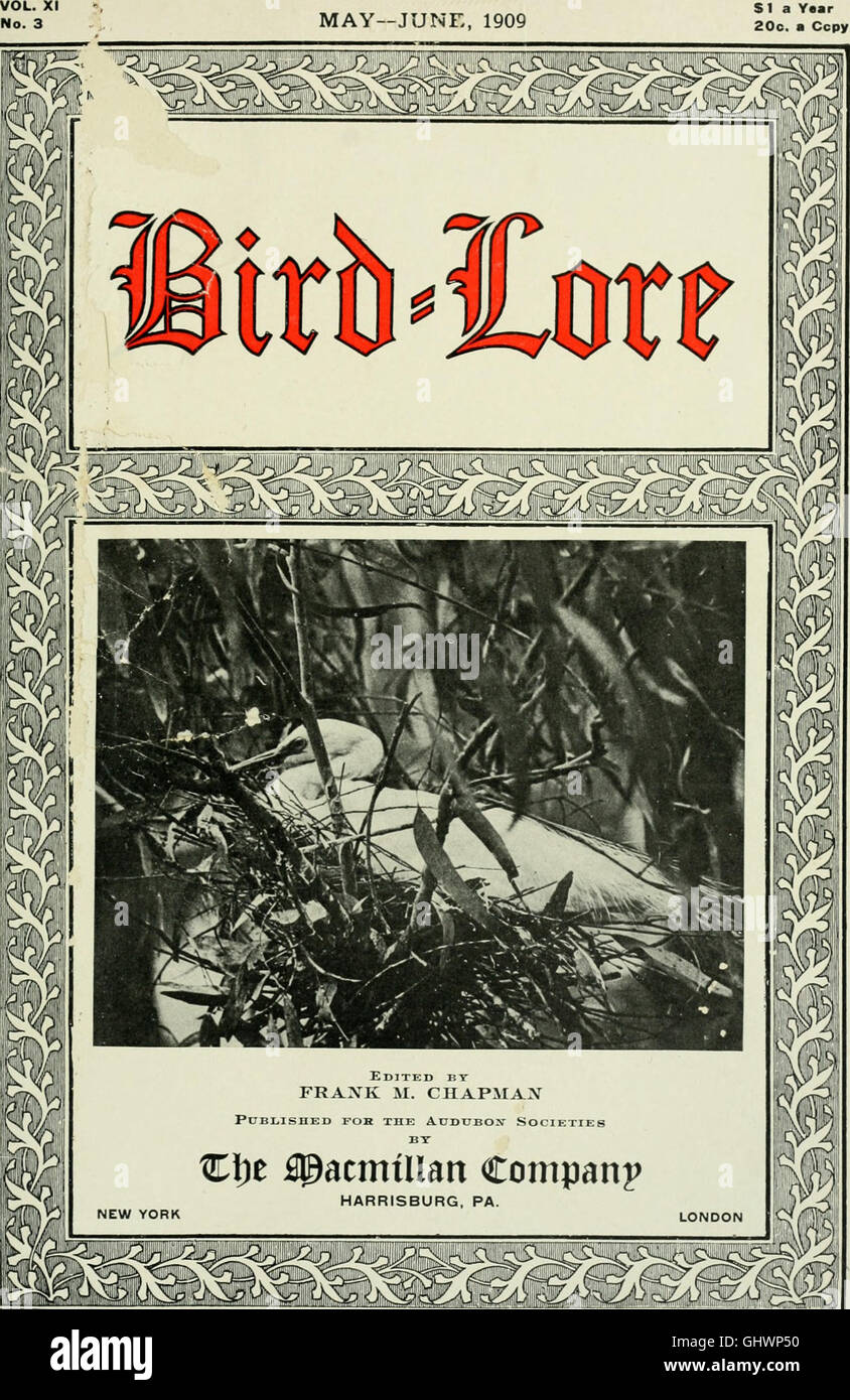 Bird-lore (1909) Stock Photo