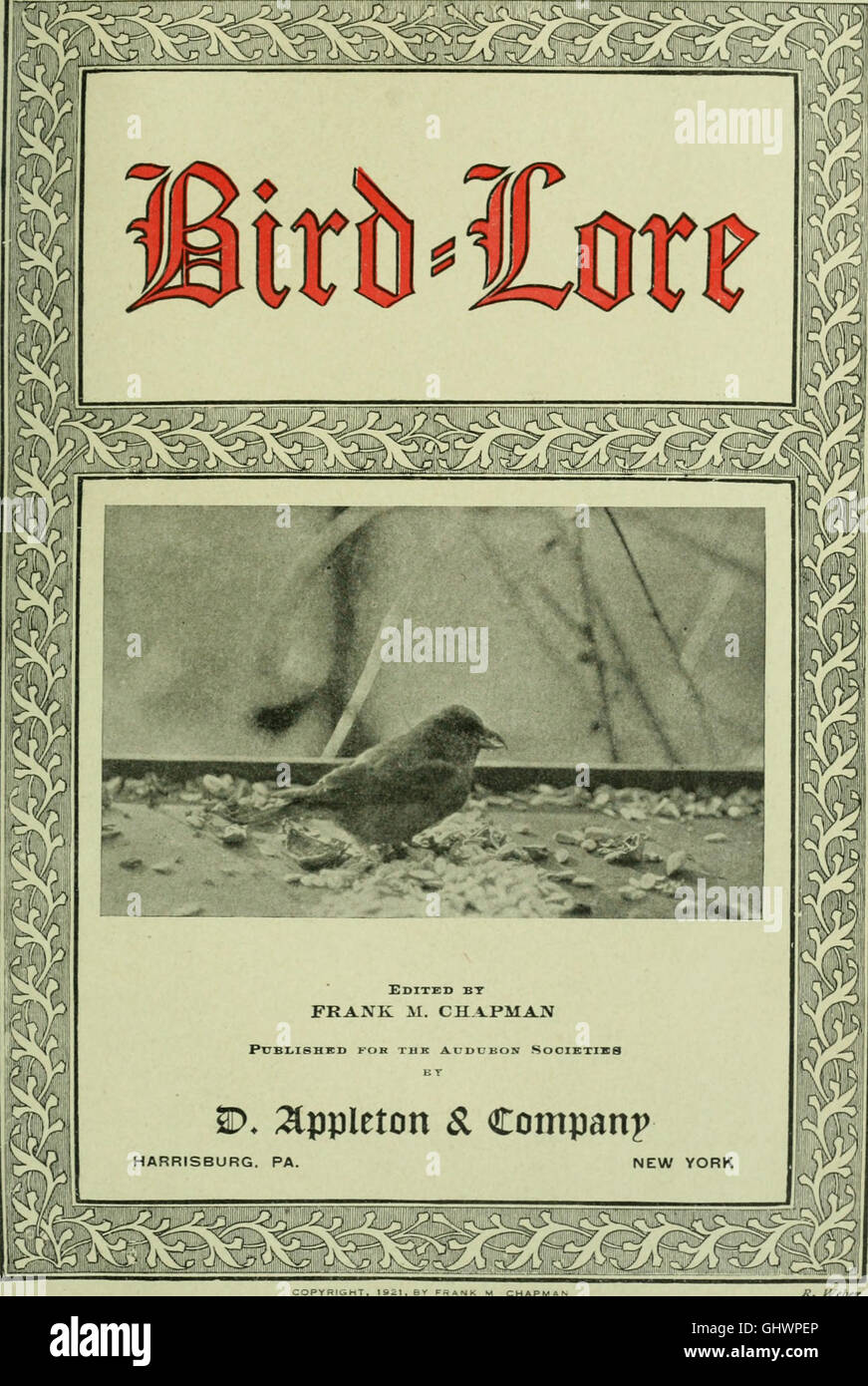 Bird-lore (1921) Stock Photo