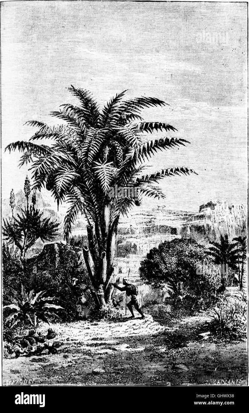 Earth, sea and sky, or, Marvels of the universe (microform) being a