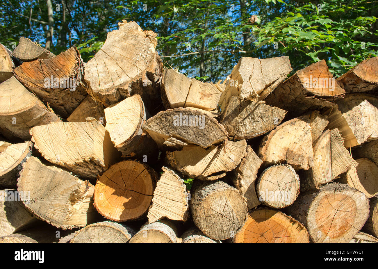 Loads of firewood hires stock photography and images Alamy