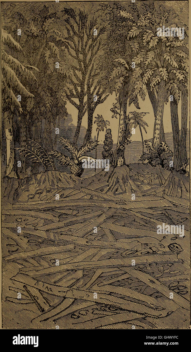 'God in Nature and Revelation' (1875) explores the relationship between ...